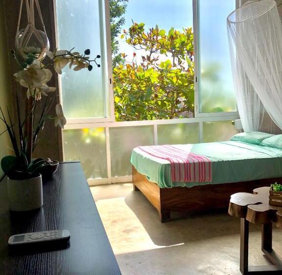 اتاق استاندارد, Hostal Tortuga