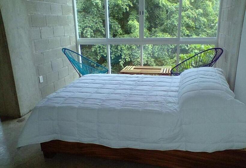 اتاق استاندارد, Hostal Tortuga