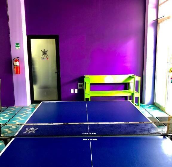 تختخواب در اتاق مشترک, Hostal Tortuga