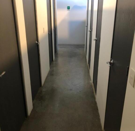 تختخواب در اتاق مشترک, Hostal Tortuga