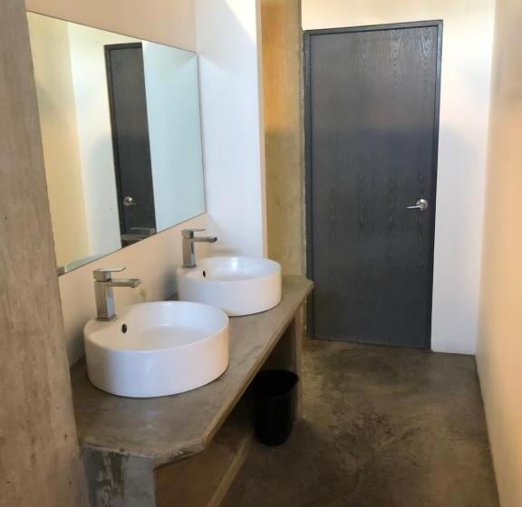 تختخواب در اتاق مشترک, Hostal Tortuga