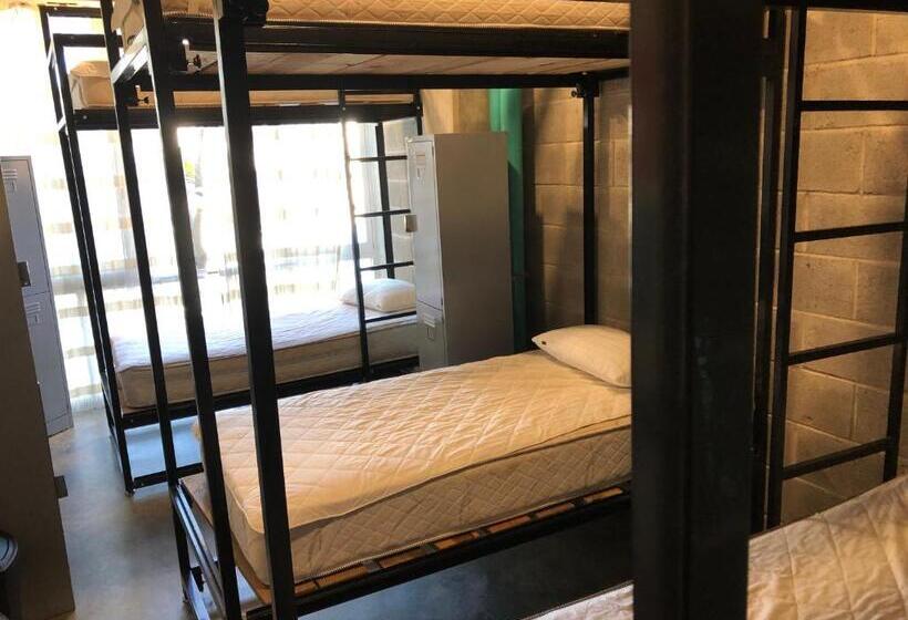 تختخواب در اتاق مشترک, Hostal Tortuga