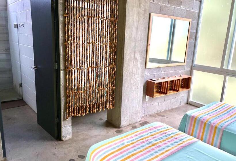 اتاق استاندارد, Hostal Tortuga