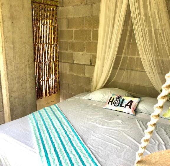 اتاق استاندارد, Hostal Tortuga