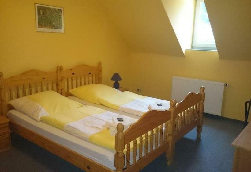 اتاق استاندارد, Gaststätte Und Pension Felsenthal