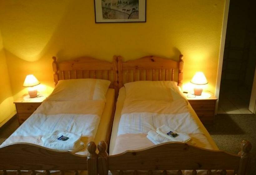 اتاق استاندارد یک نفره, Gaststätte Und Pension Felsenthal
