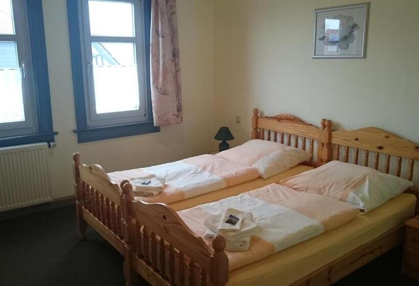 اتاق استاندارد یک نفره, Gaststätte Und Pension Felsenthal