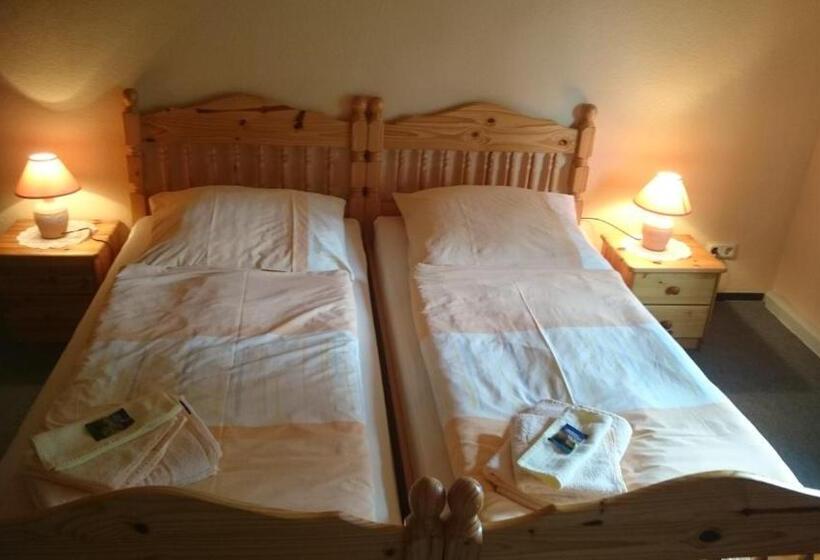 اتاق استاندارد یک نفره, Gaststätte Und Pension Felsenthal