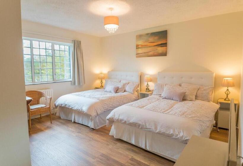 اتاق لوکس خانوادگی, Dorney S B&b
