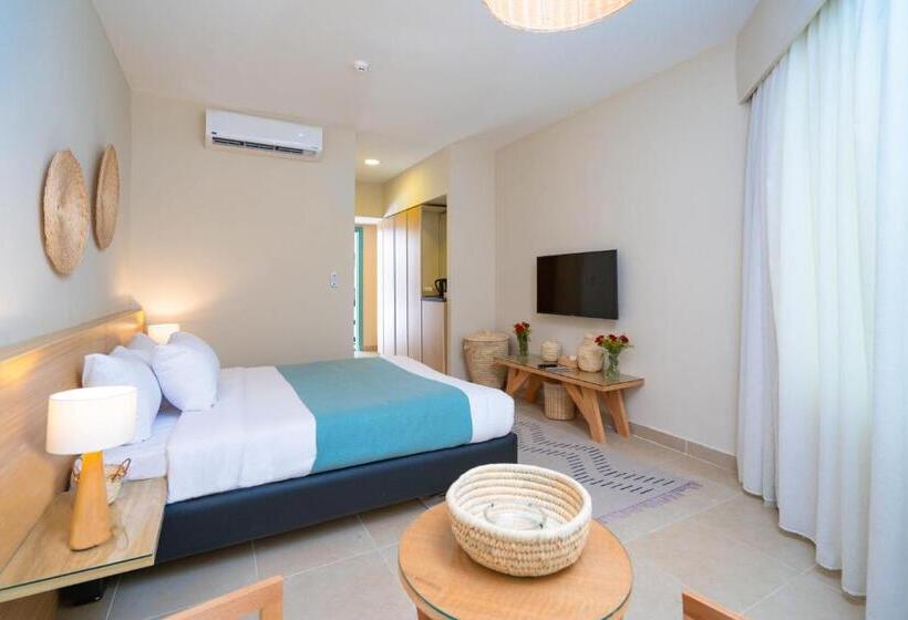 اتاق استاندارد در طبقه همکف, Redcon Suites