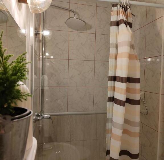 اتاق استاندارد, Apartments & Rooms Saša