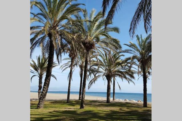 آپارتمان 1 خوابه با تراس, Apartamento Minerva Jupiter. The Perfect Accommodation For Your Vacation