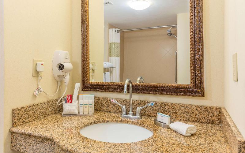 اتاق استاندارد با تخت بزرگ, Hampton Inn By Hilton Queretaro Tecnologico