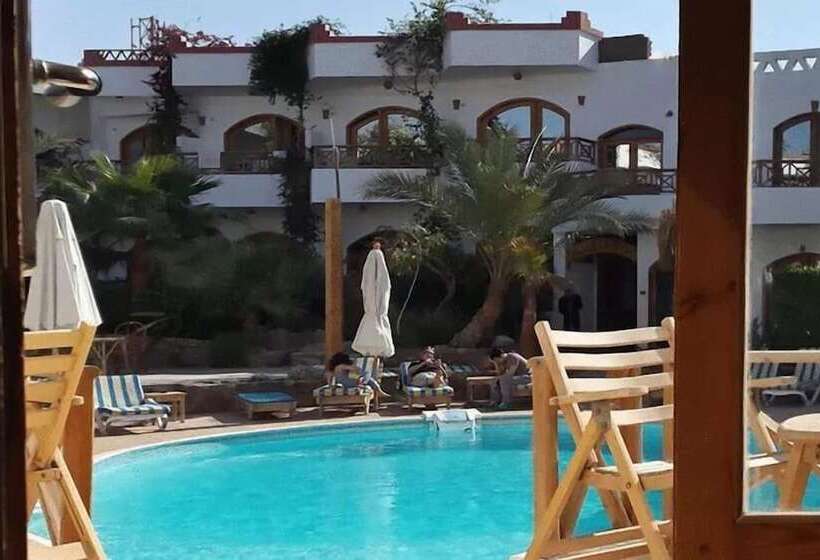 اتاق استاندارد سه نفره, Red Sea Relax Resort