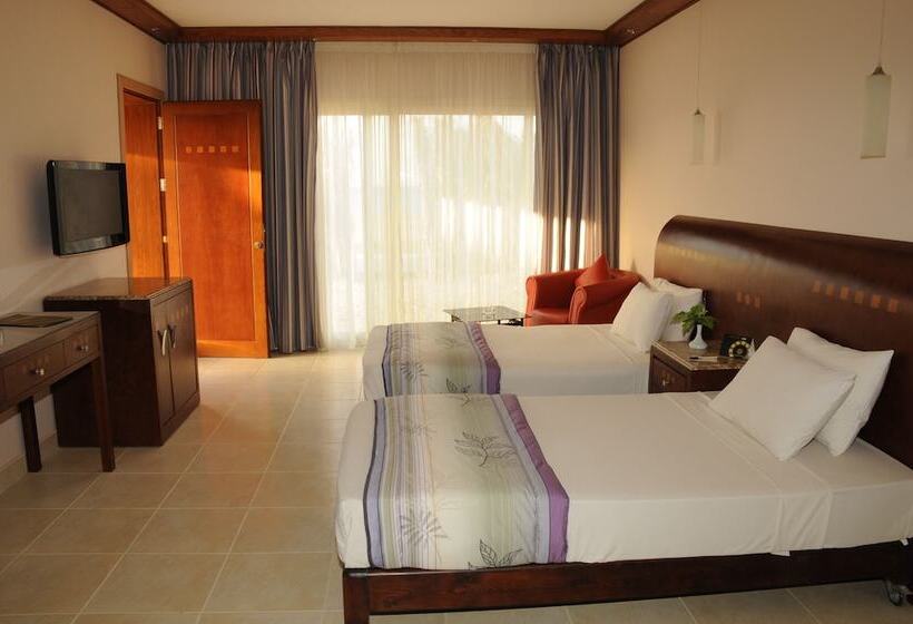 Standard Room, Shams Prestige Abu Soma