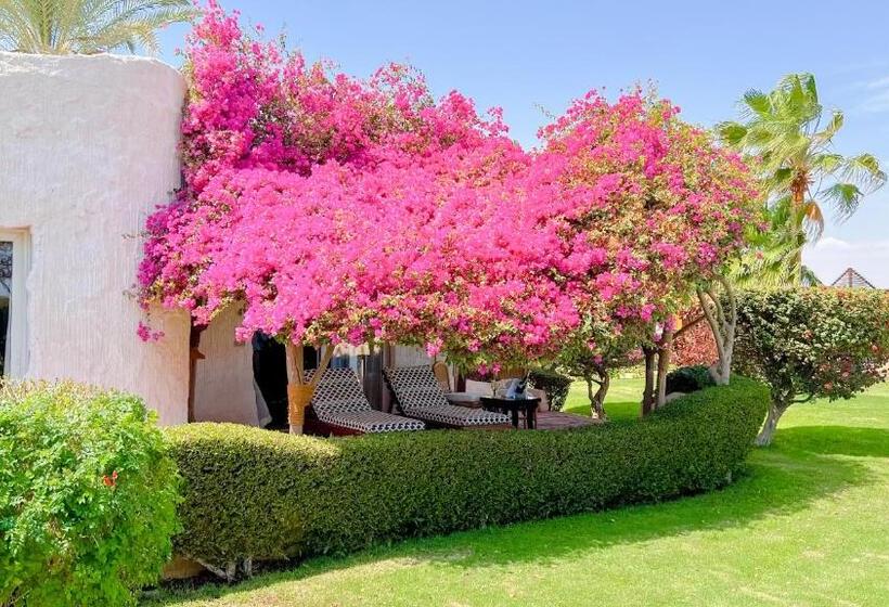 سوییت با چشم‌انداز دریا, Sharm Club Beach Resort
