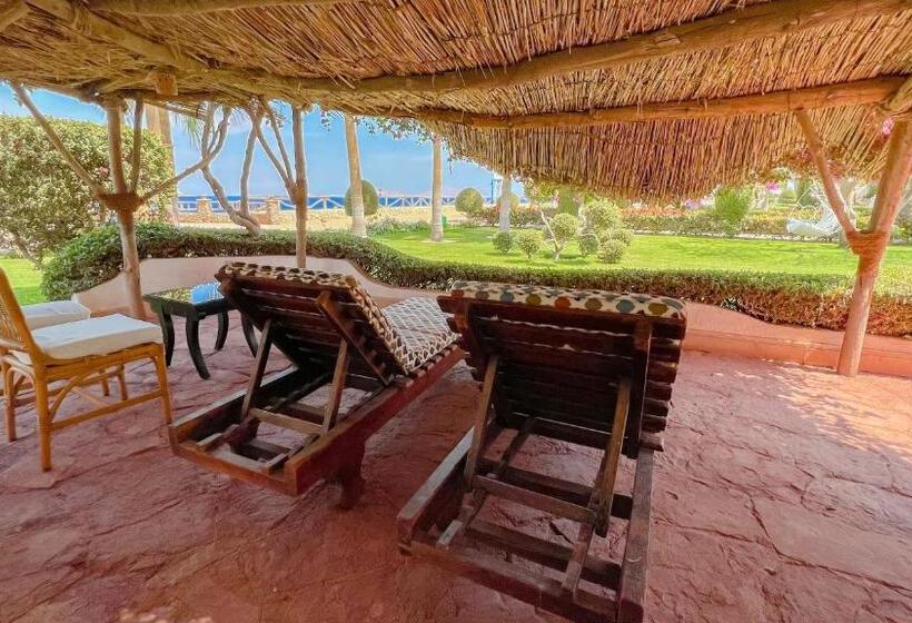سوییت با چشم‌انداز دریا, Sharm Club Beach Resort