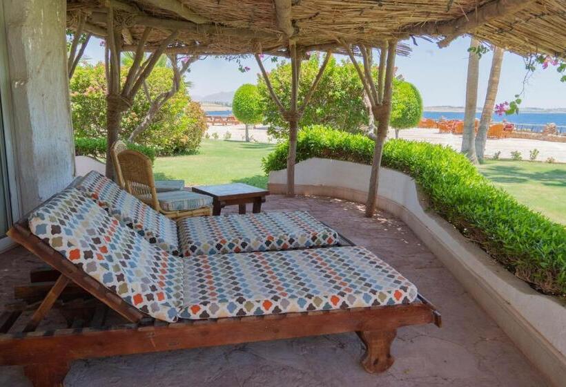 سوییت با چشم‌انداز دریا, Sharm Club Beach Resort