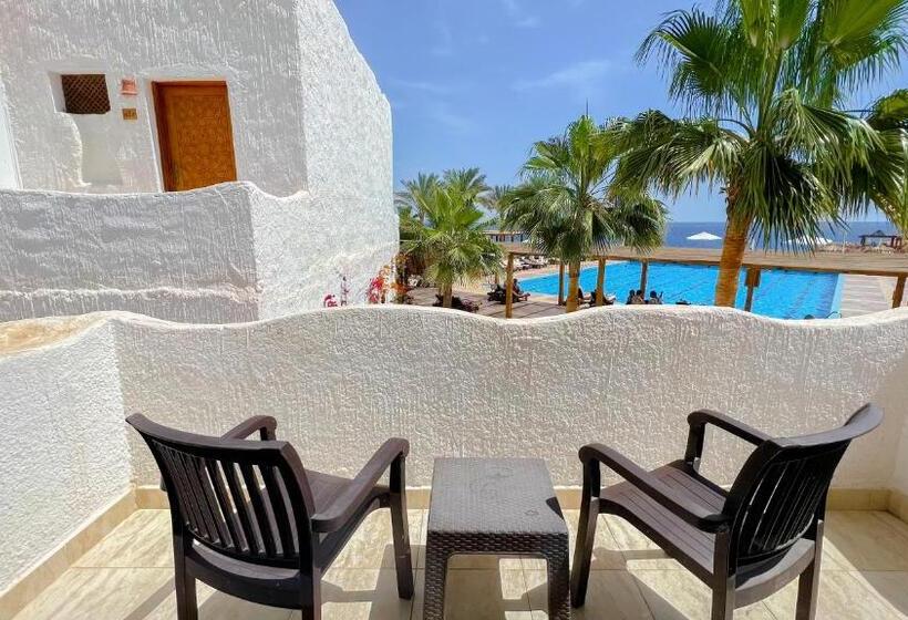 اتاق استاندارد, Sharm Club Beach Resort