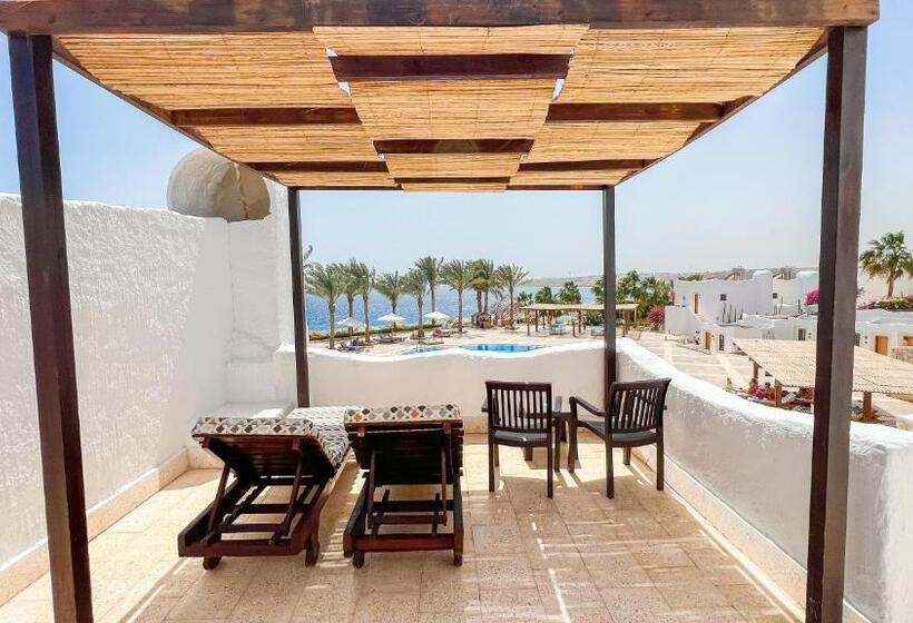 اتاق استاندارد, Sharm Club Beach Resort