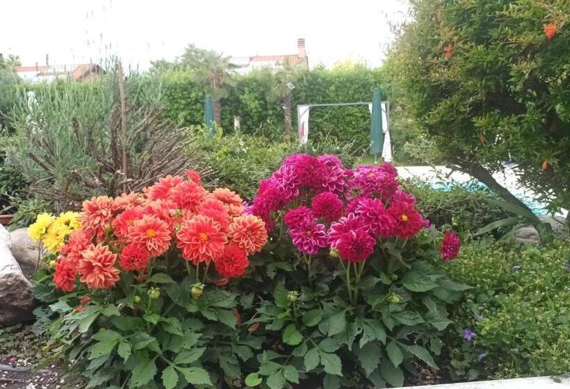 استودیوی سوپریور, Villa Magnolia Garda Lake