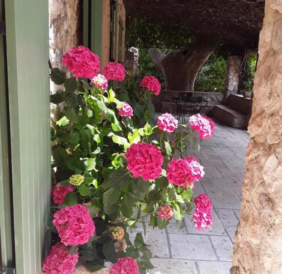اتاق استاندارد, Mas De L Ile