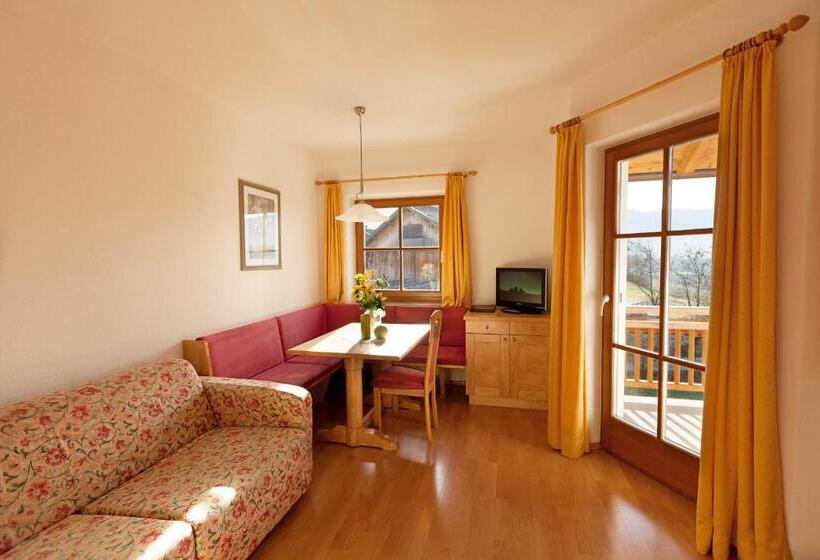 آپارتمان سوپریور 1 خوابه, Appartement Huber