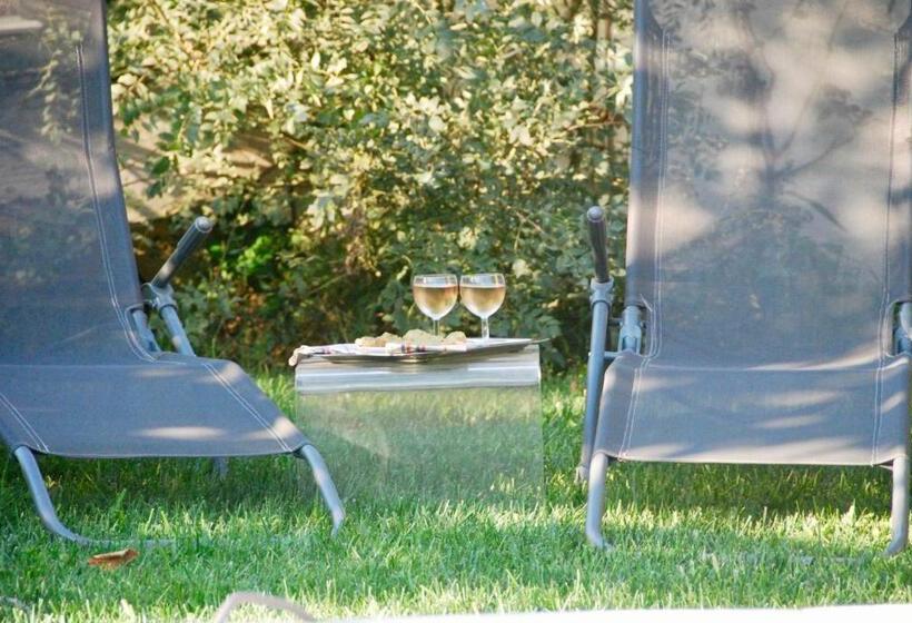 استودیو استاندارد با تراس, Les Volets Bleus Provence