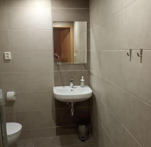 اتاق استاندارد سه نفره, Penzion A Restaurace V Háji