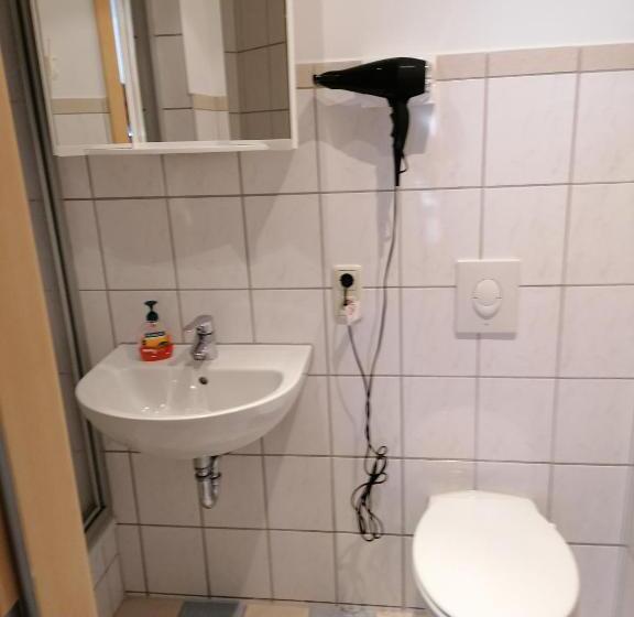 اتاق اکونومی, Trobischhof