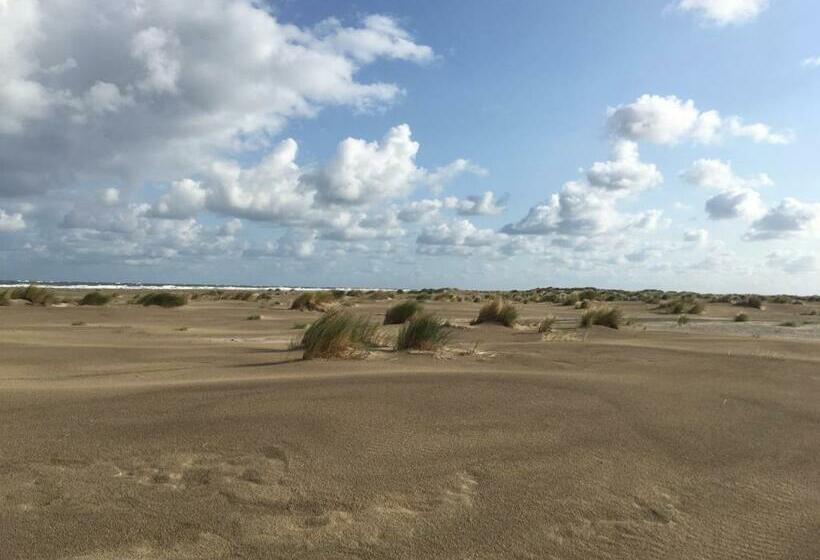 خانه 1 خوابه, Meeuw