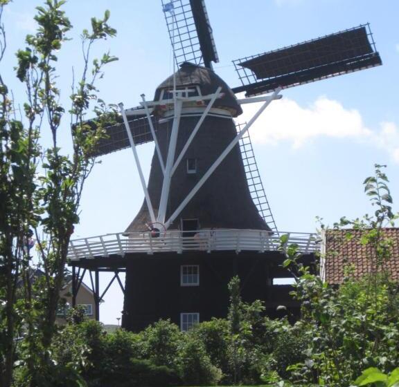 خانه 1 خوابه, Meeuw