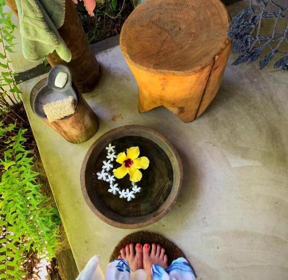 اتاق استاندارد, Pousada Spa Oasis