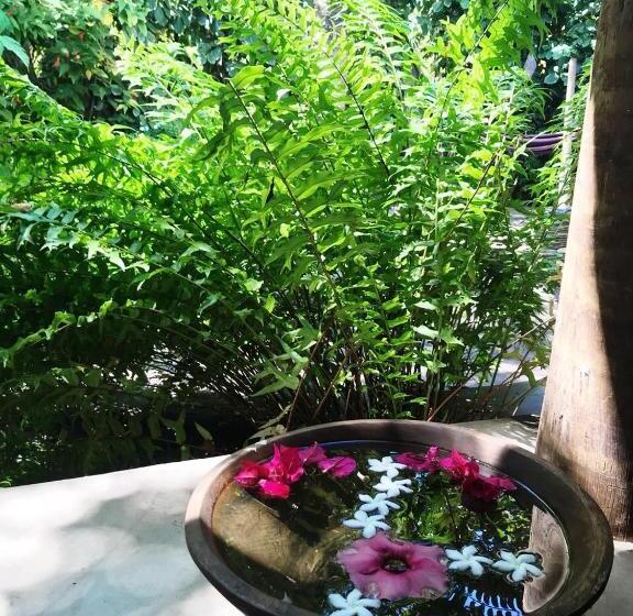 اتاق استاندارد اینتریور, Pousada Spa Oasis