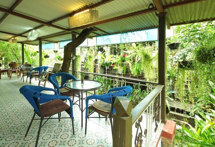 اتاق استاندارد, Hatthatara Resort