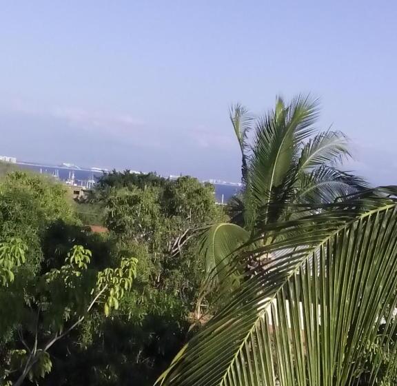 اتاق استاندارد با تراس, Delfin B&b