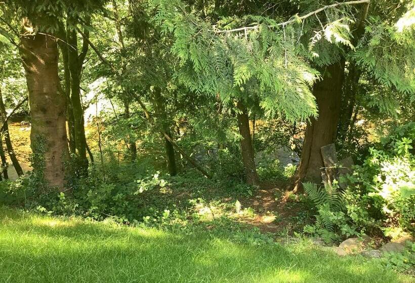 اتاق لوکس با تخت بزرگ, Little London Bed & Breakfast And Glamping Pod
