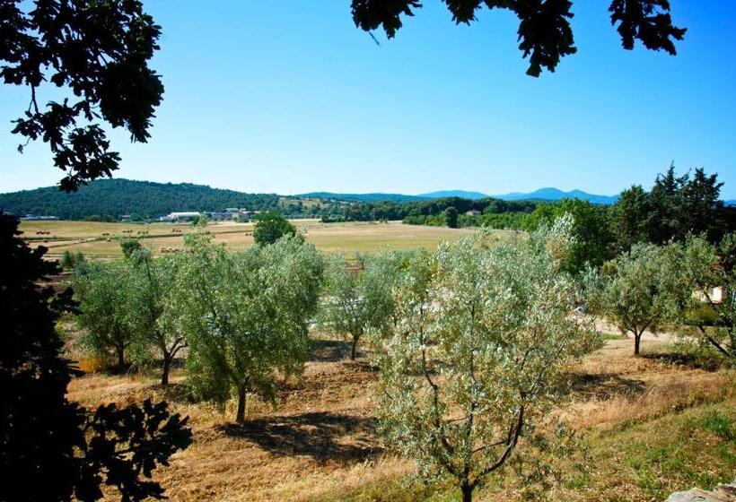 آپارتمان 1 خوابه, Agriturismo San Lino Gilberto