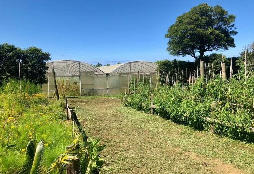 آپارتمان 1 خوابه با چشم‌انداز باغ, Quinta Dos Sabores Farm Houses