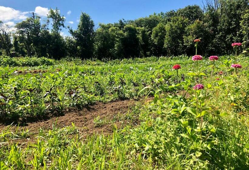 آپارتمان 1 خوابه با چشم‌انداز باغ, Quinta Dos Sabores Farm Houses