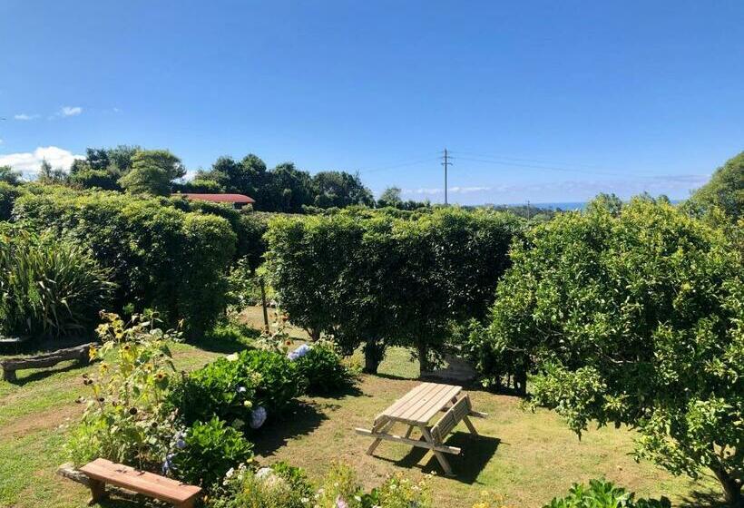 آپارتمان 1 خوابه با چشم‌انداز باغ, Quinta Dos Sabores Farm Houses