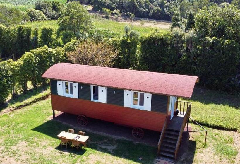 آپارتمان 1 خوابه با چشم‌انداز باغ, Quinta Dos Sabores Farm Houses