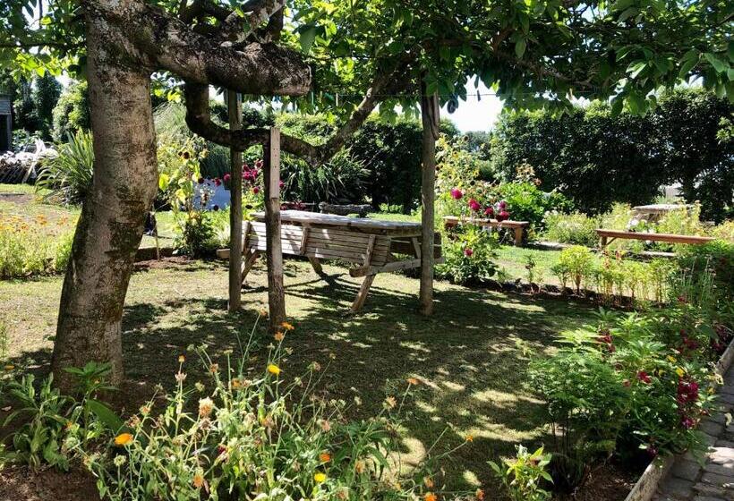 آپارتمان 1 خوابه با چشم‌انداز دریا, Quinta Dos Sabores Farm Houses