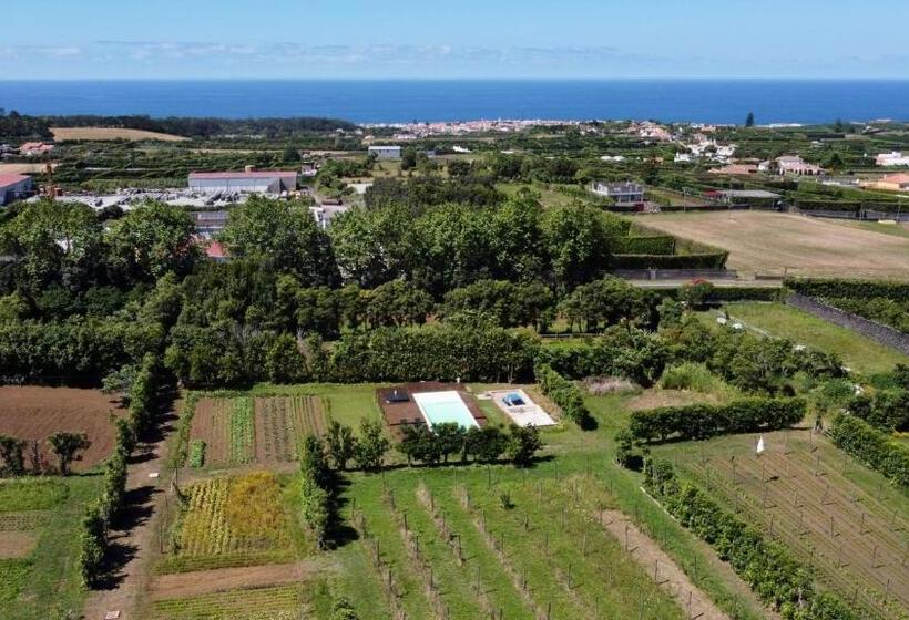 آپارتمان 1 خوابه با چشم‌انداز دریا, Quinta Dos Sabores Farm Houses