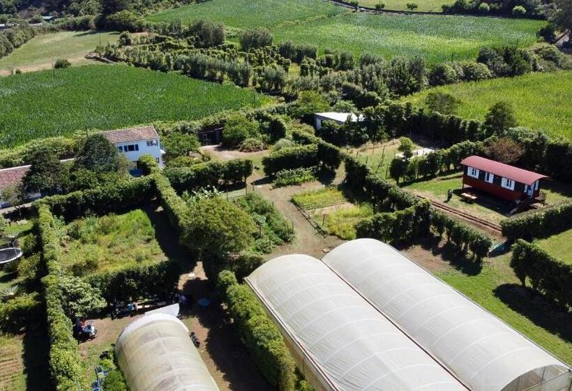 آپارتمان 1 خوابه با چشم‌انداز دریا, Quinta Dos Sabores Farm Houses