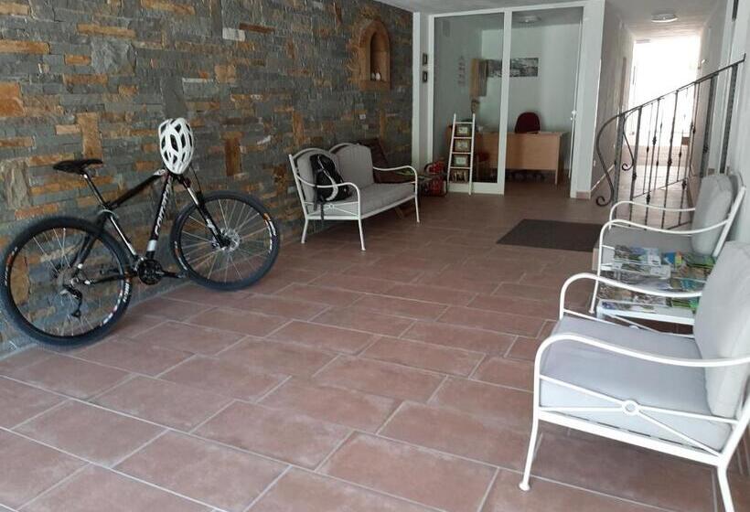 استودیوی استاندارد, Apartments Reida