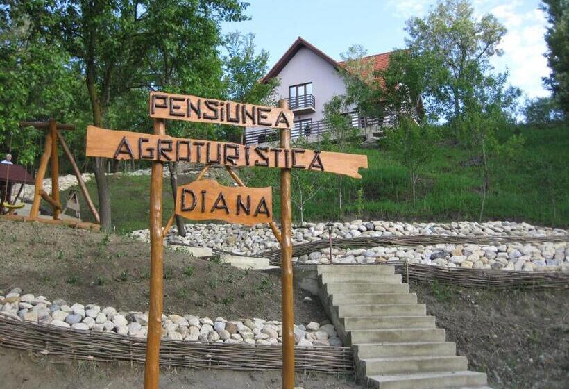 ویلای 1 خوابه, Pensiunea Agroturistica Diana