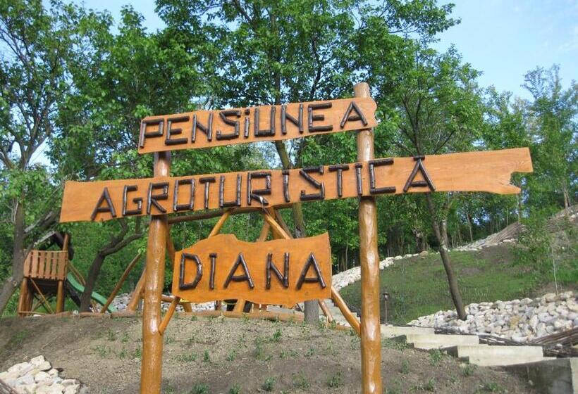 ویلای 1 خوابه, Pensiunea Agroturistica Diana