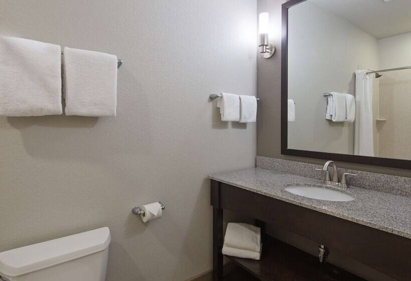 سوییت, Best Western Plus Austin Airport Inn & Suites