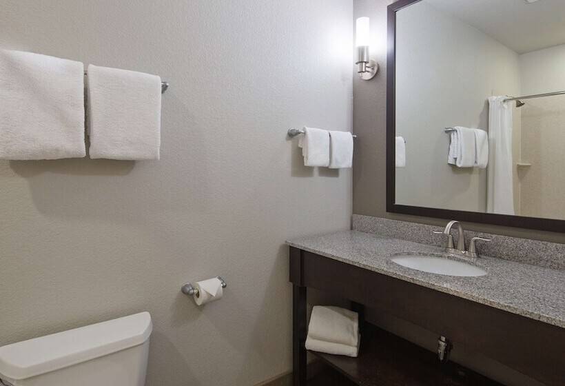 Suite Adaptada para personas con movilidad reducida, Best Western Plus Austin Airport Inn And Suites